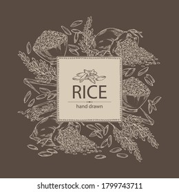 Background with rice, plate  and bag of rice. Vector hand drawn illustration