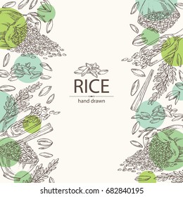 Background With Rice, Plate With Rice And Bag Of Rice. Vector Hand Drawn Illustration.