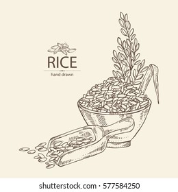 Background with rice and plate with rice. hand drawn