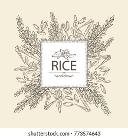 Background with rice. Vector hand drawn illustration.