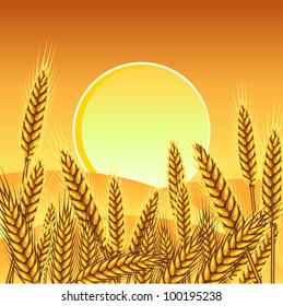 Background with ripe yellow wheat ears, vector illustration.