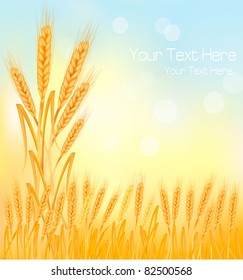 Background with ripe yellow wheat ears, agricultural vector illustration