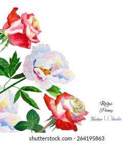 Background with rose and peony.Vector watercolor illustration