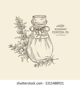 Background with rosemary and bottle of rosemary essential oil. Cosmetic, perfumery and medical plant. Vector hand drawn 