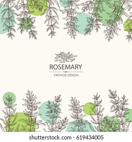 Background with rosemary. Hand drawn.