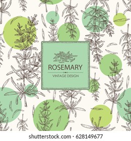 Background with rosemary. Hand drawn