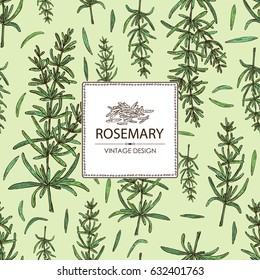 Background with rosemary. Hand drawn
