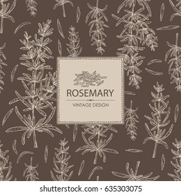 Background with rosemary. Hand drawn