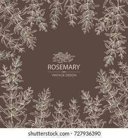 Background with rosemary. Vector hand drawn illustration.