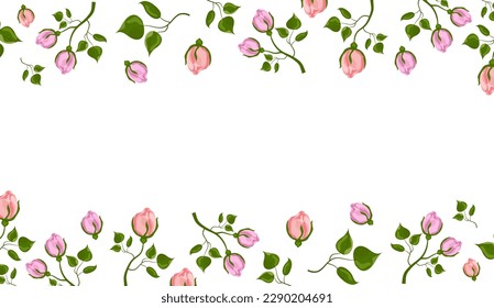 Background with roses. Banner. Vector graphics
