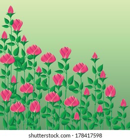  Background with roses. Set for a bouquet of roses on a green background. Roses for cutting.