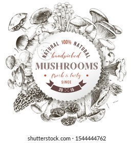 Background with round label and type design over hand drawn edible mushrooms. Vector illustration