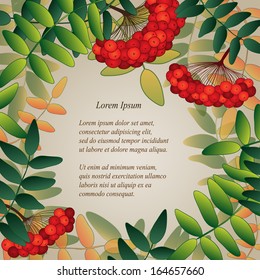 Background with rowan berries, leaves and place for your text.