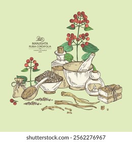 Background with rubia cordifolia: rubia cordifolia plant, leaves, manjishta berries and rubia cordifolia roots. Manjishta. Oil, soap and bath salt . Cosmetics and medical plant. Vector hand