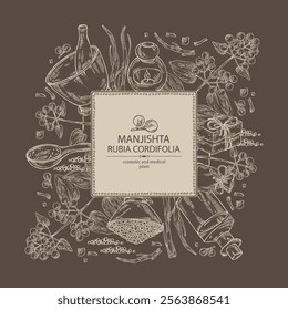 Background with rubia cordifolia: rubia cordifolia plant, leaves, manjishta berries and rubia cordifolia roots. Manjishta. Oil, soap and bath salt . Cosmetics and medical plant. Vector hand