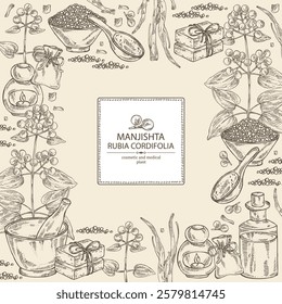 Background with rubia cordifolia: rubia cordifolia plant, leaves, manjishta berries and rubia cordifolia roots. Manjishta. Oil, soap and bath salt . Cosmetics and medical plant. Vector hand