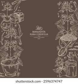 Background with rubia cordifolia: rubia cordifolia plant, leaves, manjishta berries and rubia cordifolia roots. Manjishta. Oil, soap and bath salt . Cosmetics and medical plant. Vector hand