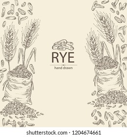 Background with rye: ears, bag of grain and rye grain. Vector hand drawn illustration