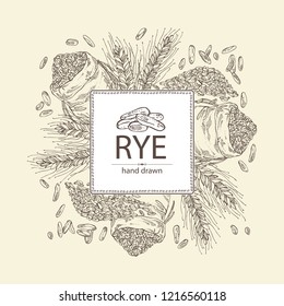 Background with rye: ears, bag of grain and rye grain. Vector hand drawn illustration