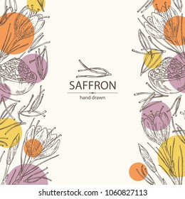 Background with saffron: flower and saffron stamens. Vector hand drawn illustration.