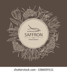 Background with saffron: flower and saffron stamens. Vector hand drawn illustration.