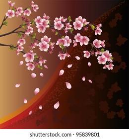 Background with sakura blossom - Japanese cherry tree and pattern