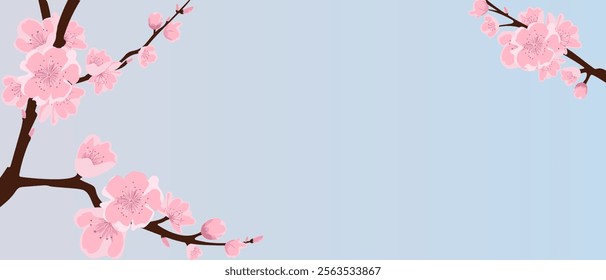 Background with sakura branches. Delicate sakura on a pink and blue background. Vector.