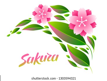 Background with sakura or cherry blossom. Floral japanese ornament of blooming flowers and leaves.