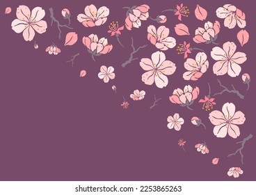 Background with sakura flowers. Beautiful decorative plants.