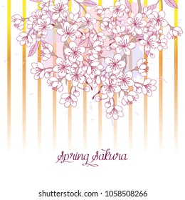 Background with sakura. Hand drawn spring blossom trees. Vector illustration with cherry blossoms.