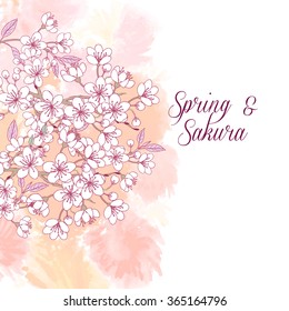 Background with sakura. Hand drawn spring blossom trees. Vector illustration with cherry blossoms.