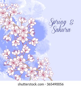 Background with sakura. Hand drawn spring blossom trees. Vector illustration with cherry blossoms.