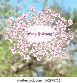 Background with sakura. Hand drawn spring blossom trees. Vector illustration with cherry blossoms.