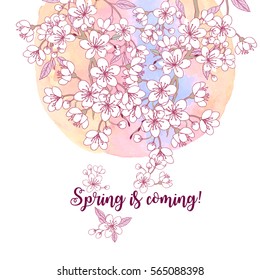 Background with sakura. Hand drawn spring blossom trees. Vector illustration with cherry blossoms.