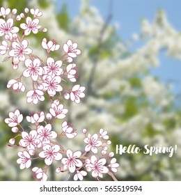 Background with sakura. Hand drawn spring blossom trees. Vector illustration with cherry blossoms.