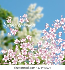 Background with sakura. Hand drawn spring blossom trees. Vector illustration with cherry blossoms.