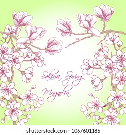 Background with sakura and magnolia. Hand drawn spring blossom trees. Vector illustration with cherry blossoms.