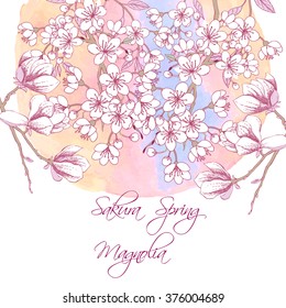 Background with sakura and magnolia. Hand drawn spring blossom trees. Vector illustration with cherry blossoms.