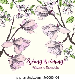 Background with sakura and magnolia. Hand drawn spring trees. Vector illustration with cherry blossoms.