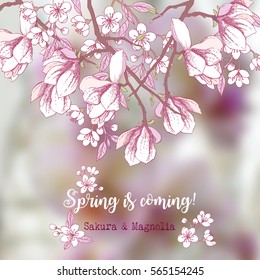Background with sakura and magnolia. Hand drawn spring trees. Vector illustration with cherry blossoms.