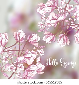Background with sakura and magnolia. Hand drawn spring trees. Vector illustration with cherry blossoms.