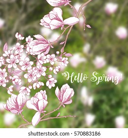 Background with sakura and magnolia. Hand drawn spring trees. Vector illustration with cherry blossoms.