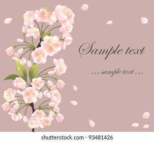 Background with sakura tree