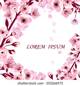 Background sakura. Vector