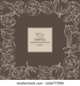 Background with santol: fruit, santol slice and leaves. Wild mangosteen. Sandoricum koetjape. Vector hand drawn illustration.