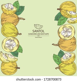 Antecedentes con santol: frutas, rodajas de santol y hojas. Mangostino salvaje. Sandoricum koetjape. Ilustración dibujada a mano por vectores.