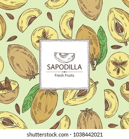 Background with sapodilla: fruit, sapodilla slice and leaves. Vector hand drawn illustration.