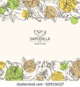 Background with sapodilla: fruit, sapodilla slice and leaves. Vector hand drawn illustration.