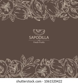 Background with sapodilla: fruit, sapodilla slice and leaves. Vector hand drawn illustration.