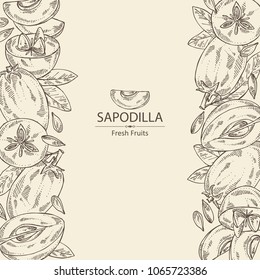 Background with sapodilla: fruit, sapodilla slice and leaves. Vector hand drawn illustration.